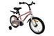 Велосипеди для прогулянок Outleap PRINCESS pink UFT8FD136E3854.192 фото 3