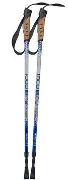 Палиці для скандинавської ходьби Loopline PACER silver/blue UF2611438BF47952.78 фото